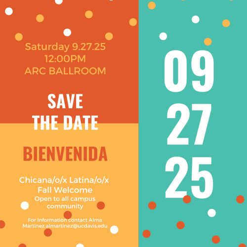 BIENVENIDA FLYER