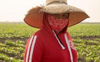 campesina