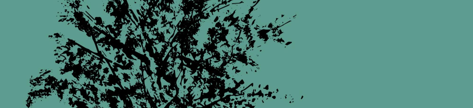 Huizache Cover
